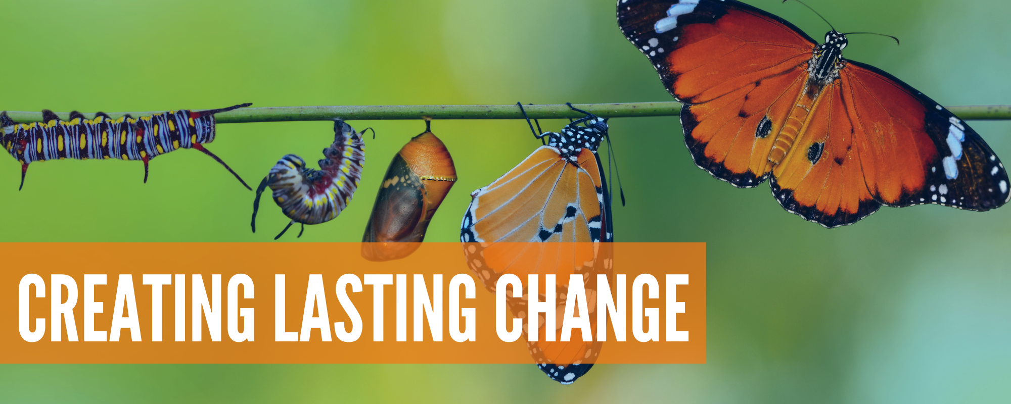 Creating lasting change 