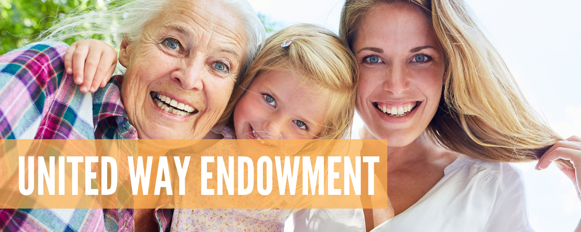 endowment